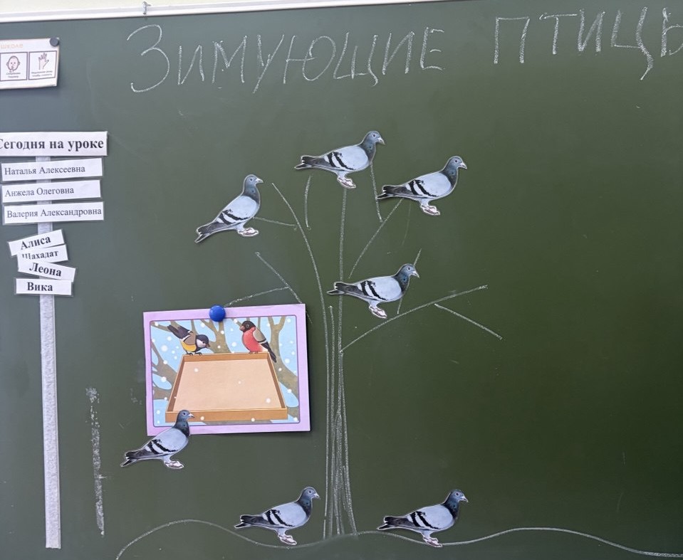 zimuyushchie-ptitsy-1