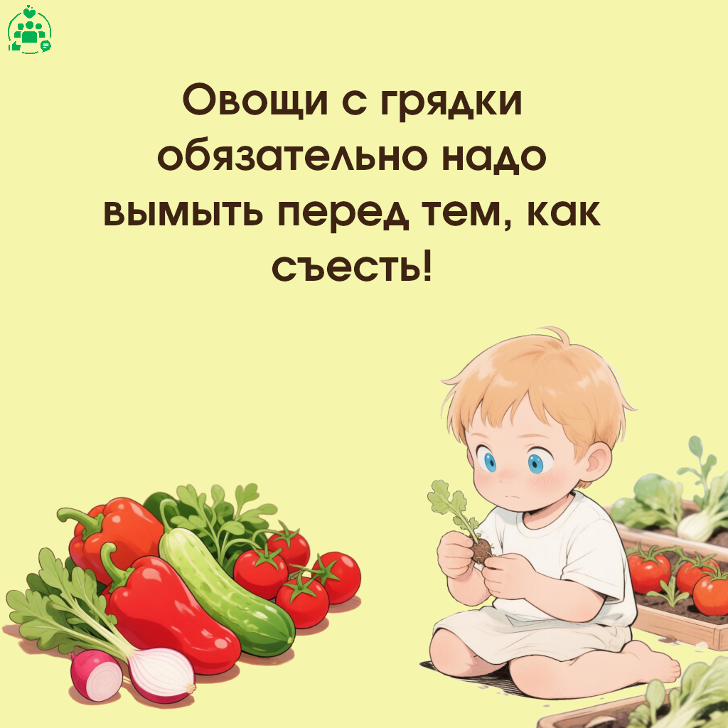 ogorod-5