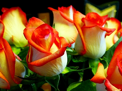 43fvbewghj4024g4hj2380ghj