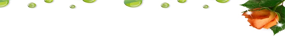 ROZ_2